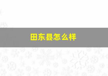 田东县怎么样