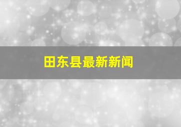 田东县最新新闻