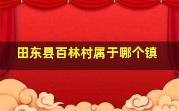 田东县百林村属于哪个镇