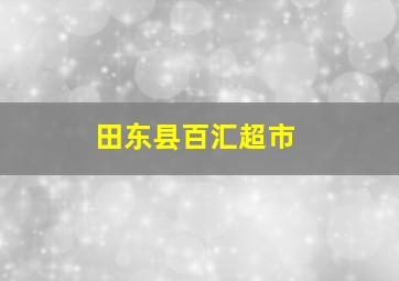 田东县百汇超市