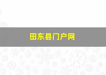 田东县门户网