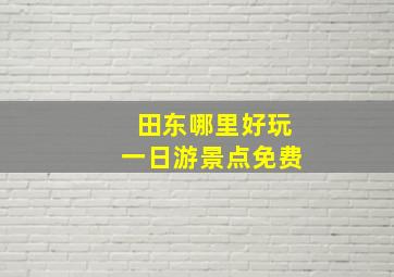 田东哪里好玩一日游景点免费