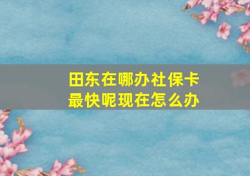 田东在哪办社保卡最快呢现在怎么办