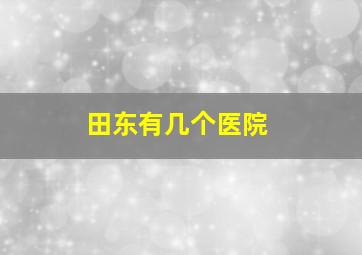 田东有几个医院