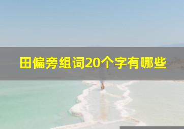 田偏旁组词20个字有哪些