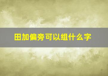 田加偏旁可以组什么字