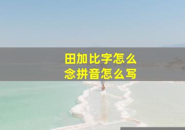 田加比字怎么念拼音怎么写