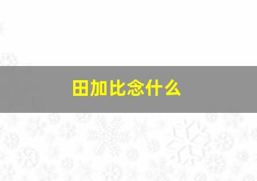 田加比念什么