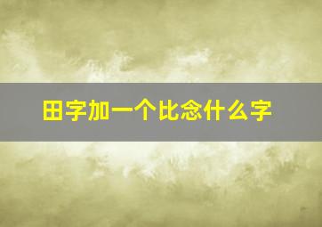 田字加一个比念什么字