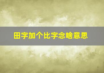 田字加个比字念啥意思