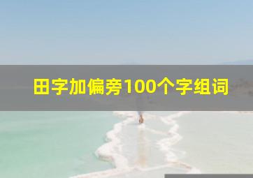 田字加偏旁100个字组词