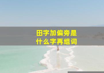 田字加偏旁是什么字再组词