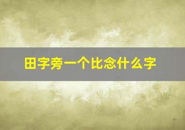 田字旁一个比念什么字