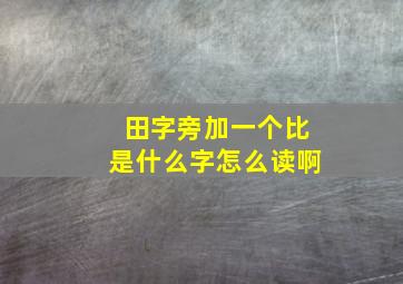 田字旁加一个比是什么字怎么读啊