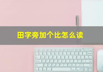 田字旁加个比怎么读