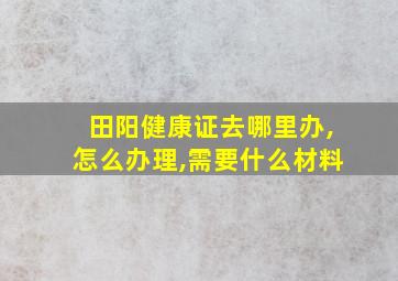 田阳健康证去哪里办,怎么办理,需要什么材料