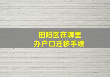 田阳区在哪里办户口迁移手续