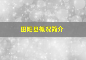 田阳县概况简介