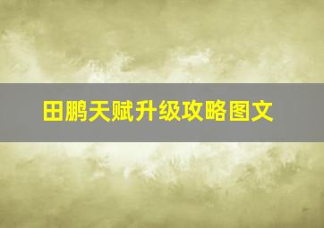 田鹏天赋升级攻略图文