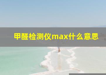 甲醛检测仪max什么意思