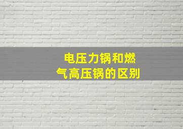 电压力锅和燃气高压锅的区别