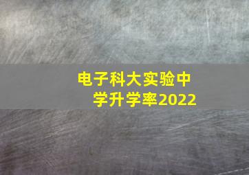 电子科大实验中学升学率2022