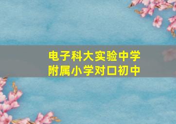 电子科大实验中学附属小学对口初中