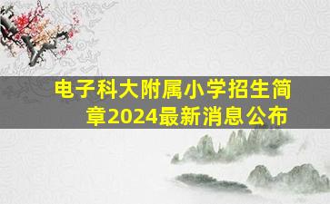 电子科大附属小学招生简章2024最新消息公布