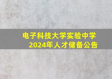 电子科技大学实验中学2024年人才储备公告