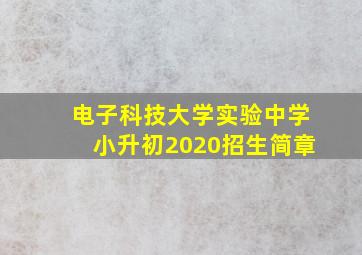 电子科技大学实验中学小升初2020招生简章