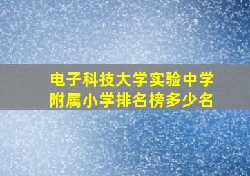 电子科技大学实验中学附属小学排名榜多少名