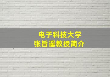 电子科技大学张旨遥教授简介