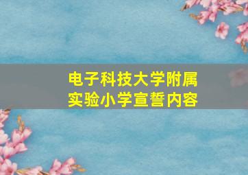 电子科技大学附属实验小学宣誓内容