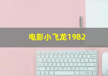 电影小飞龙1982