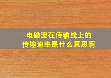 电磁波在传输线上的传输速率是什么意思啊