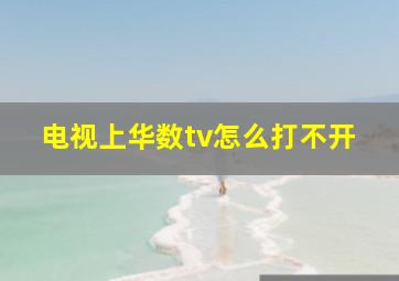 电视上华数tv怎么打不开