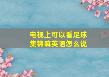 电视上可以看足球集锦嘛英语怎么说