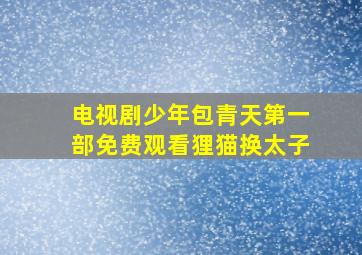 电视剧少年包青天第一部免费观看狸猫换太子