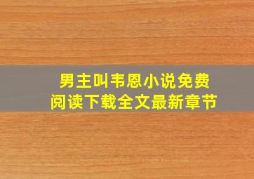 男主叫韦恩小说免费阅读下载全文最新章节