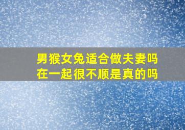 男猴女兔适合做夫妻吗在一起很不顺是真的吗