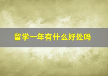 留学一年有什么好处吗