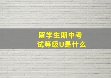 留学生期中考试等级U是什么