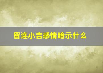 留连小吉感情暗示什么