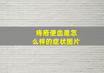 痔疮便血是怎么样的症状图片