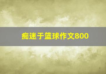 痴迷于篮球作文800