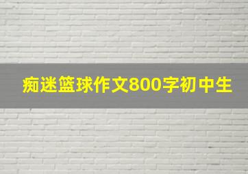 痴迷篮球作文800字初中生