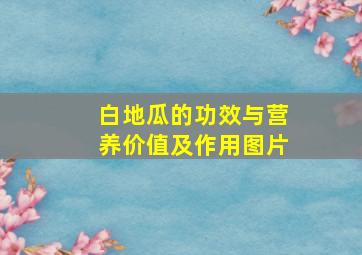 白地瓜的功效与营养价值及作用图片