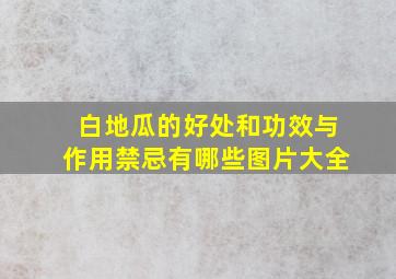 白地瓜的好处和功效与作用禁忌有哪些图片大全