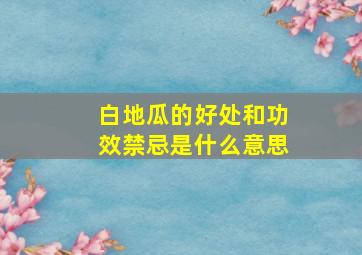 白地瓜的好处和功效禁忌是什么意思