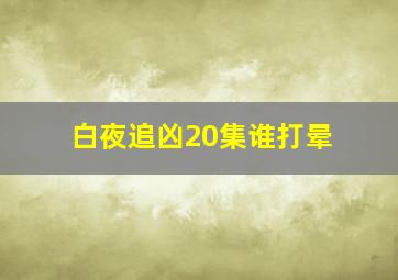 白夜追凶20集谁打晕